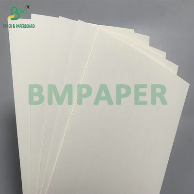 Biodegradable & Microwave Safe Paperboard Untuk Membuat Mangkuk Satu Kali Untuk Salad