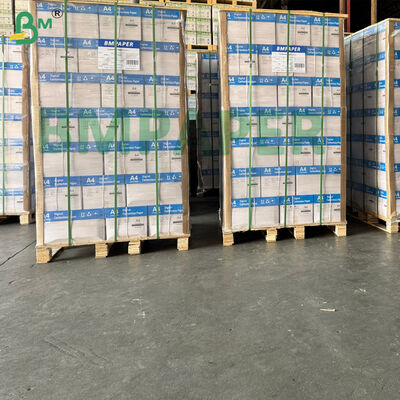 Sensitivitas tinggi A4, Ukuran huruf Kertas dasar tanpa karbon CB CFB CF Dikemas secara terpisah