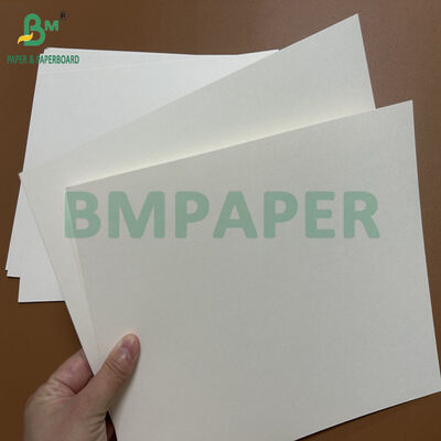 230gsm 240gsm +20PE Lemak tahan putih bahan makanan papan untuk mangkuk 70 x 100cm