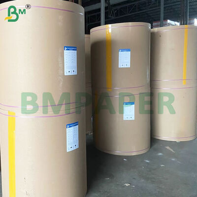 Piring Food Grade/Gulungan Kertas Mangkuk PET Dilapisi Tahan Panas