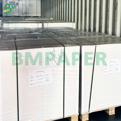 Lembar Kertas Stok Mangkuk Makanan Dilapisi PE Sisi Ganda Anti Bocor