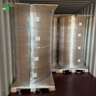 50gsm + 10g Kraft Liner Cokelat Berlapis PE untuk Pembungkus Sedotan 80cm 90cm
