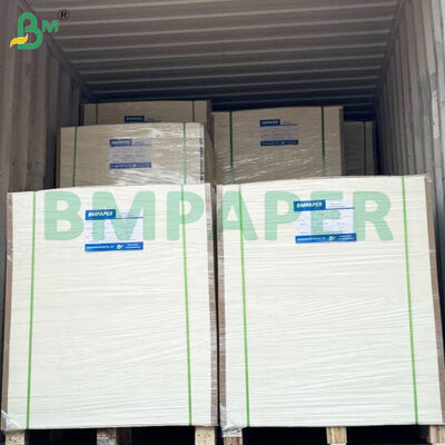 350gm+15gm PE Lapisan Bowl Stock Paper Rolls untuk Kontainer Makanan