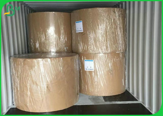 Bahan Ramah Lingkungan 300G PE Coated Paper Untuk Membuat Kotak Makan Siang